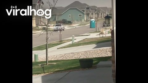 Runaway Porta Potty || ViralHog
