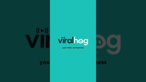 Baby Immediately Calmed By Parent's Presence || ViralHog