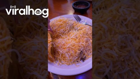 I Asked for Extra Cheese || ViralHog