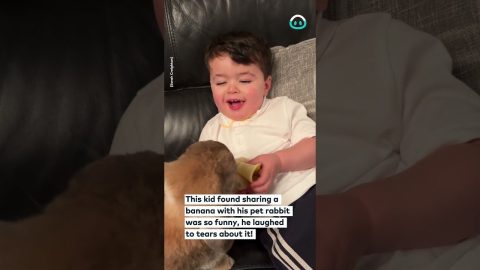 Boy Shares Banana With Bunny || ViralHog