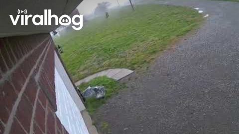 Tennessee Tornado Destroys Metal Garage || ViralHog