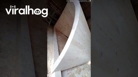 Quick Video of the Curved Shelter I Made || ViralHog