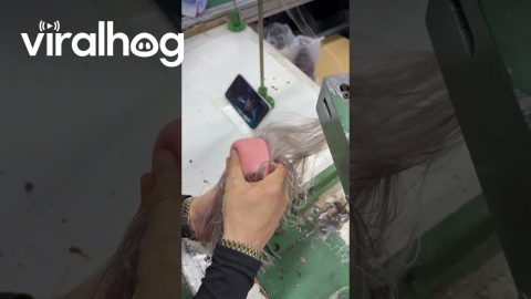 Watching A Show While Sewing Doll Hair || ViralHog
