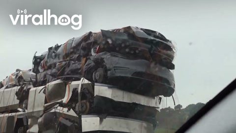 Truck Hauls Crushed Cybertrucks and Other Teslas || ViralHog