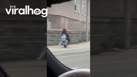 Man Riding a One-Wheeled Toilet Scooter || ViralHog