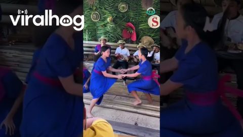 Traditional Tinikling Dance Takes A Lot Of Skill || ViralHog