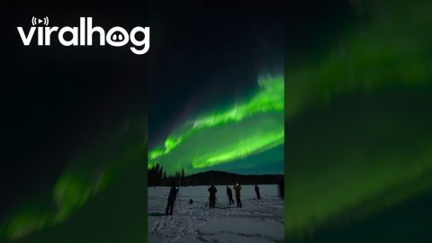 Auroral Substorm Lights Up the Sky || ViralHog