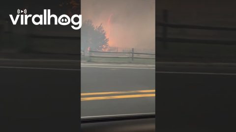 Driving Through the Jones Road Fire in New Jersey || ViralHog