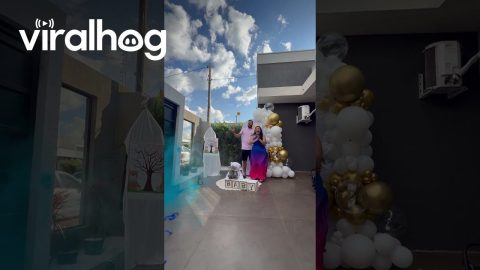 Gender Reveal Smoke from Wrong Direction || ViralHog