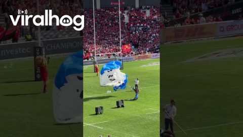 Parachutist Gets Stuck on Stadium Roof || ViralHog