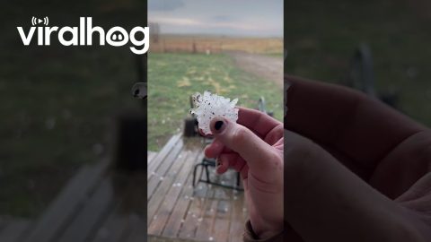 Spike Hail Falls In South Dakota || ViralHog