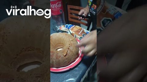 Spoon Baked In Bundt Cake || ViralHog