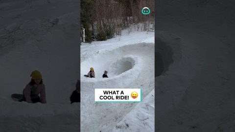 Amazing Snow Track Loop || ViralHog
