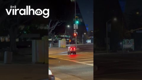 Autonomous Delivery Robot Crosses at Red Light in Los Angeles Intersection || ViralHog