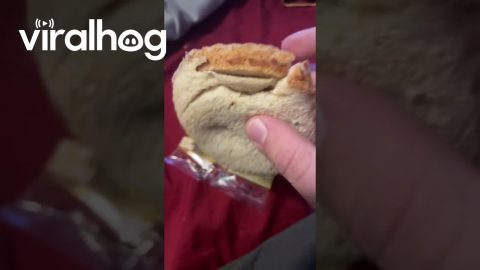 Crust Found on Uncrustable || ViralHog