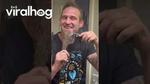 Man Shaves His 4-Year-Old Beard || ViralHog