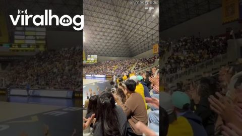 Crowd Claps In Sync with the Serve || ViralHog
