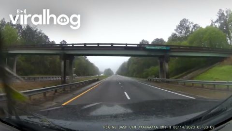 Tree Falls Across Alabama's I-59 || ViralHog