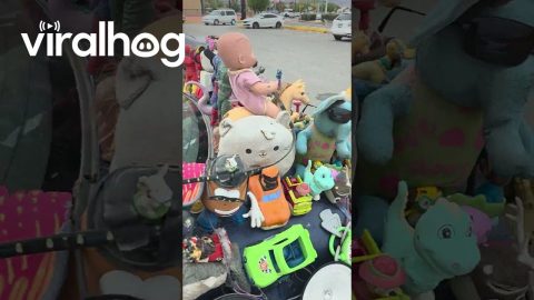 Car Covered in Toys || ViralHog