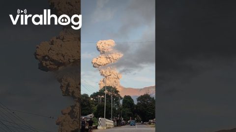 Kanlaon Volcano Eruption Sends Giant Ash Plum Into Sky || ViralHog