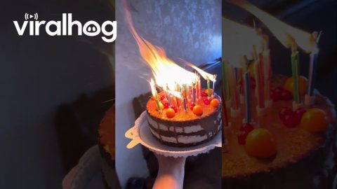Man Tries Everything To Blow Out Birthday Candles || ViralHog