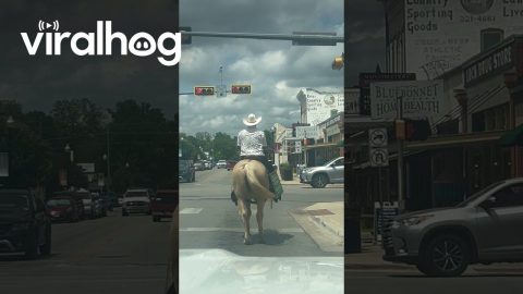 Texan Mayoral Candidate Rides Horse Through Town || ViralHog