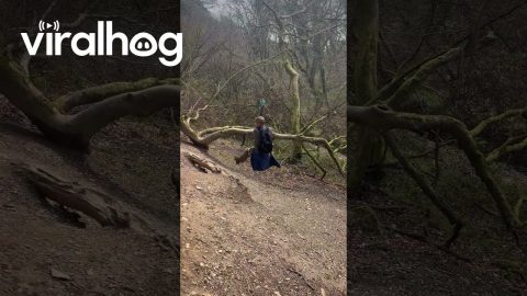 Husband Can't Resist Rope Swing || ViralHog