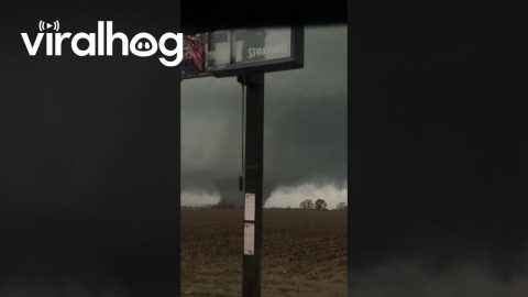 Family Flees From F3 Tornado || ViralHog