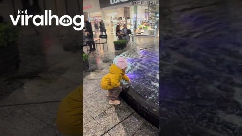 Indoor Fountain Sends Unexpected Splash || ViralHog