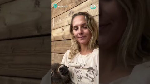 Donkey Babysitting Is A Hard Job || ViralHog