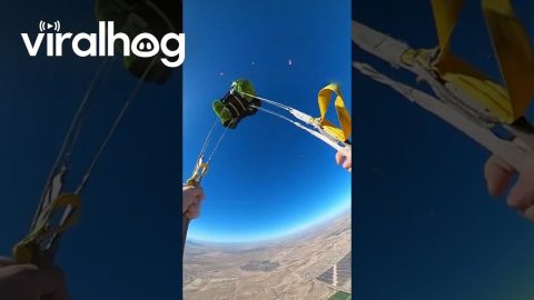 96-Way World Record Skydiving Jump || ViralHog