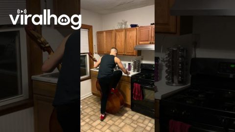 Double Bass Step Stool || ViralHog