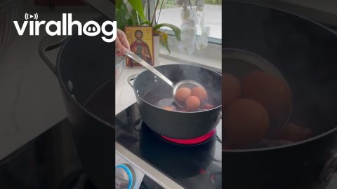 Best Recipe to Dye Red Eggs for Orthodox Easter || ViralHog