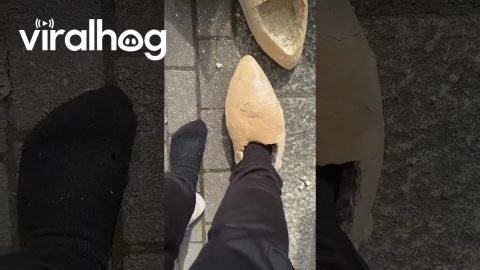 Trying on My New Yeasties || ViralHog