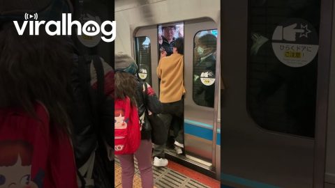 Man Squishes Into Crowded Train Last Minute || ViralHog