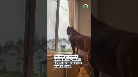 Daughter Copies Dog's Barking || ViralHog