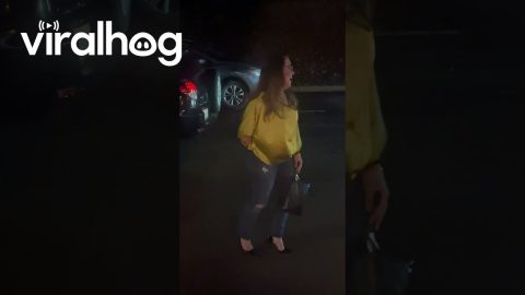 Epic Fall During Girls' Night Out || ViralHog
