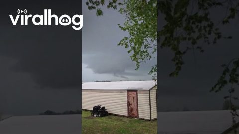 F3 Tornado Recorded in Trumann, Arkansas || ViralHog