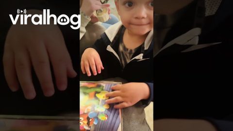 Kid Thinks Dad Is Potato Head Toy || ViralHog