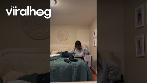 Sleeping Husband Wakes Up to Pregnancy Reveal || ViralHog