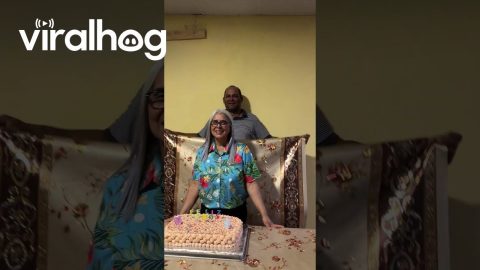 Man Helps Make Photo Backgrounds Beautiful || ViralHog