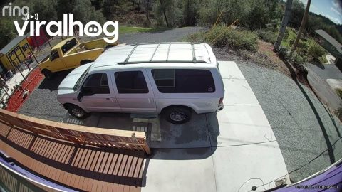 Man Loses Tire and Chases it Down a Steep Hill || ViralHog