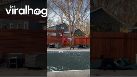 He Isn’t Going to Make It Across The Pool || ViralHog