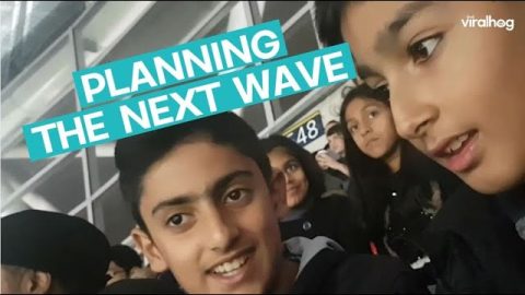 How To Get 82,000 Fans to Start a Mexican Wave || ViralHog