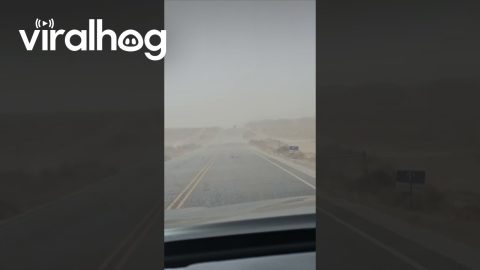 New Mexico Dust Storm and Tumbleweeds || ViralHog