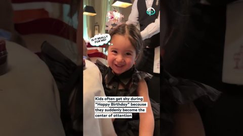 Girl Grows Shy As Birthday Song And Cake Arrive || ViralHog