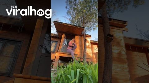 Scared Kitten Stuck On Roof Is Rescued || ViralHog