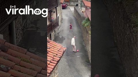 Grandfather and Grandson Play Together || ViralHog
