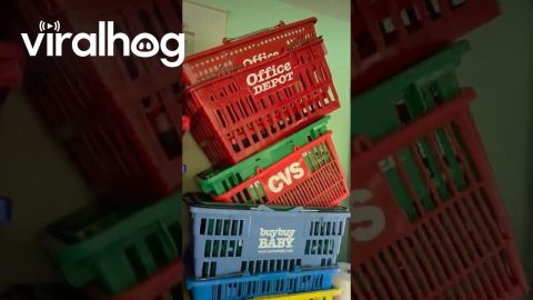 Store Shopping Basket Collection || ViralHog