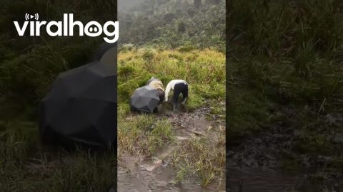 Muddy Ground Paints Two Men Brown || ViralHog